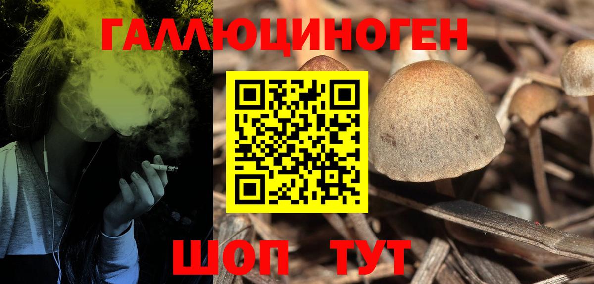 Галлюциногенные грибы ЛСД  Вход с VPN  Тара 